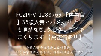 FC2PPV-1288769 【再再會】36歳人妻とハメ撮り とても清楚な奧..クピクしてイキまくります 【高畫質あり】