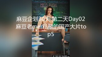 麻豆企划30天 第二天Day02麻豆老mer私藏的国产大片top5