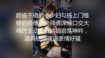 颜值不错的小少妇勾搭上门维修的师傅，给师傅深喉口交大鸡巴主动上位抽插浪荡呻吟，道具抽插骚逼表情好骚