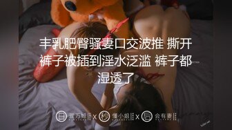 丰乳肥臀骚妻口交波推 撕开裤子被插到淫水泛滥 裤子都湿透了