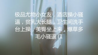 极品尤物小女友，酒店操小骚逼，贫乳大长腿，卫生间洗手台上操，美臀坐上来，爆草多毛小骚逼 (1