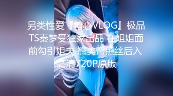 另类性爱『糖心VLOG』极品TS秦梦受独家出品 在姐姐面前勾引姐夫 翘美臀黑丝后入 高清720P原版