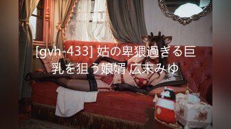 [gvh-433] 姑の卑猥過ぎる巨乳を狙う娘婿 広末みゆ