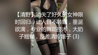 【清野】消失了好久的女神限时回归，让人目不转睛，垂涎欲滴，专业的舞蹈技术，大奶子翘臀，反差清纯婊子 (3)