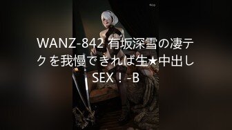 WANZ-842 有坂深雪の凄テクを我慢できれば生★中出しSEX！-B